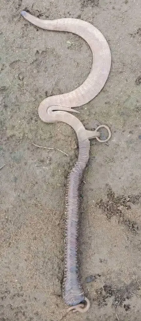 Wecim